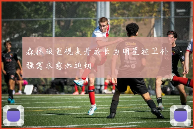 森林狼重视麦丹成长为明星控卫补强需求愈加迫切